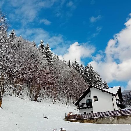 Villa Casa Valea Prejbei à Rau Sadului Extérieur photo