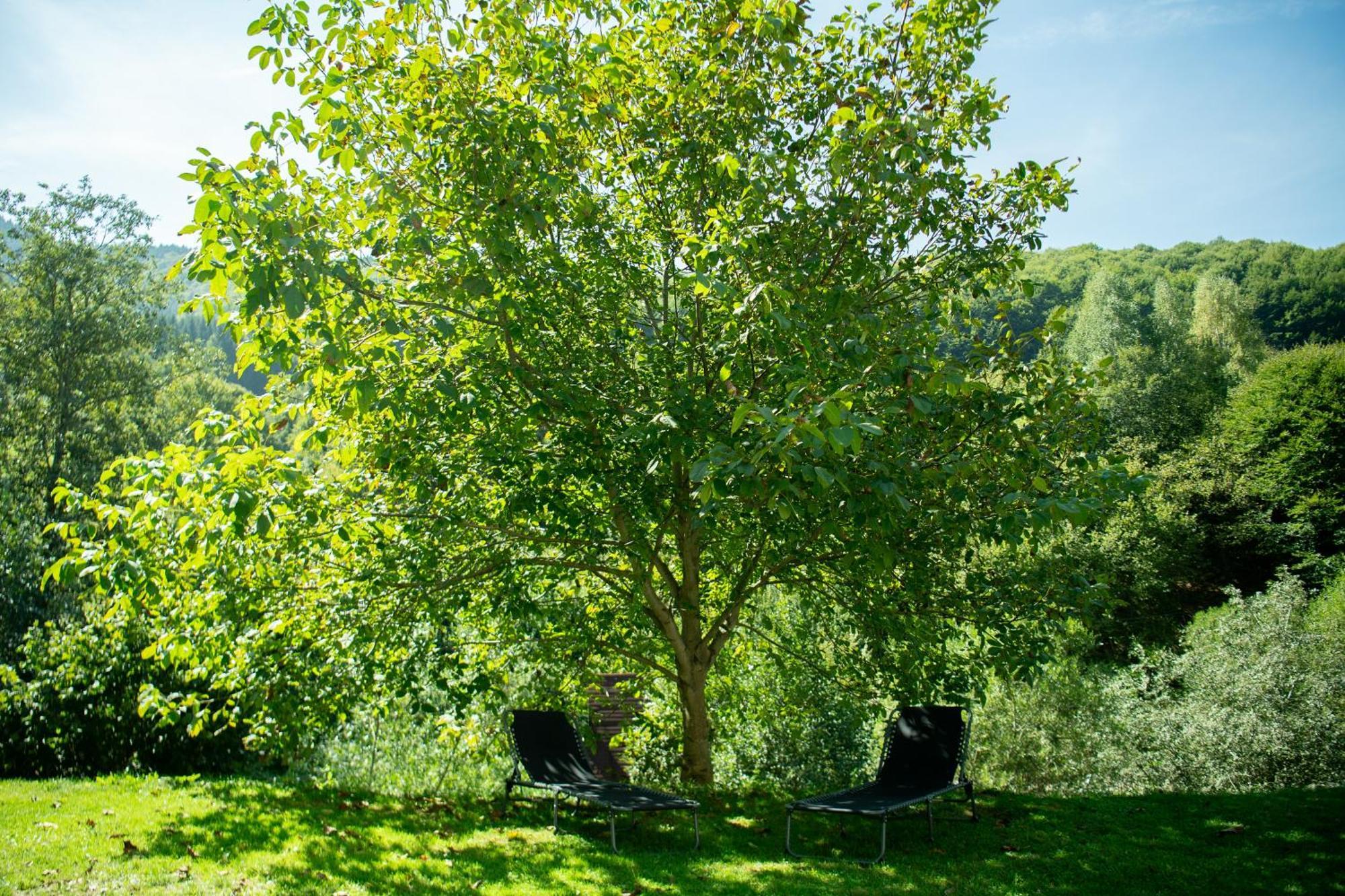 Villa Casa Valea Prejbei à Rau Sadului Extérieur photo