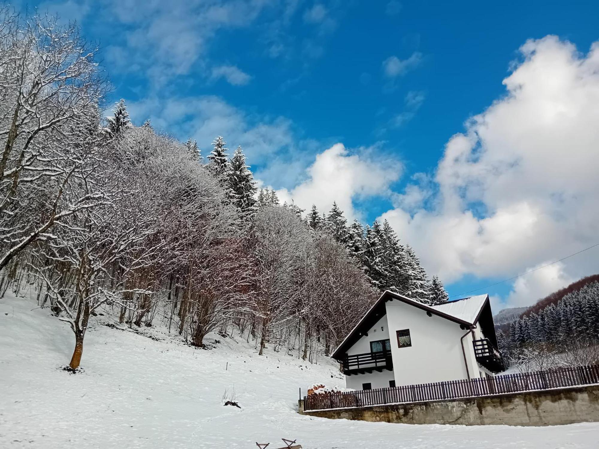 Villa Casa Valea Prejbei à Rau Sadului Extérieur photo